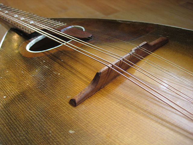 mandolin